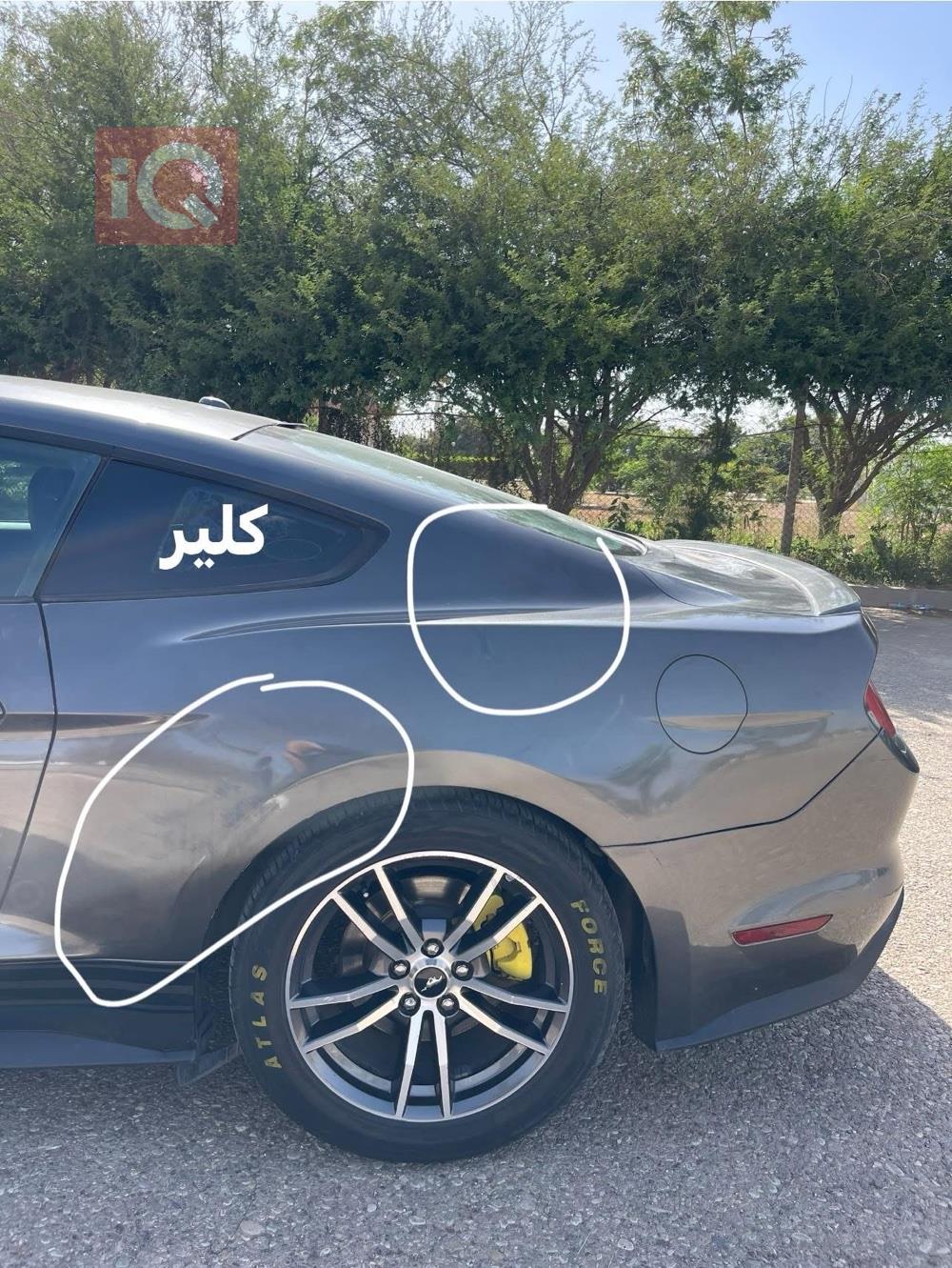 فورد موستانج
